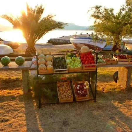Domus Nostrae - Peljesac 1 Holiday home