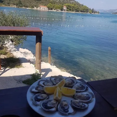 Domus Nostrae - Peljesac 1 Holiday home *