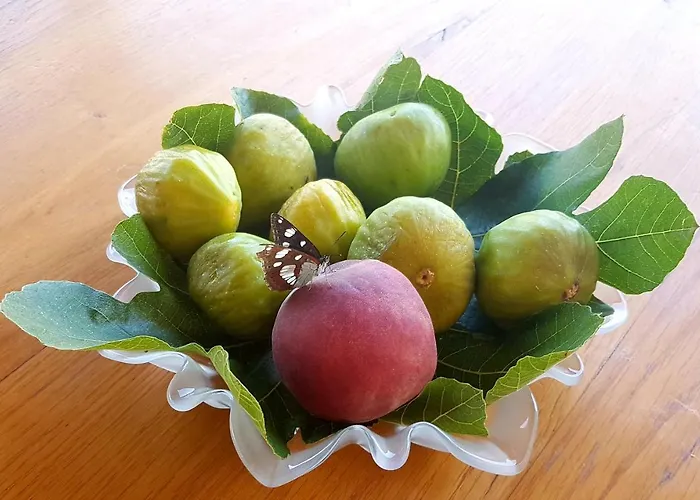 Domus Nostrae - Peljesac 1 *