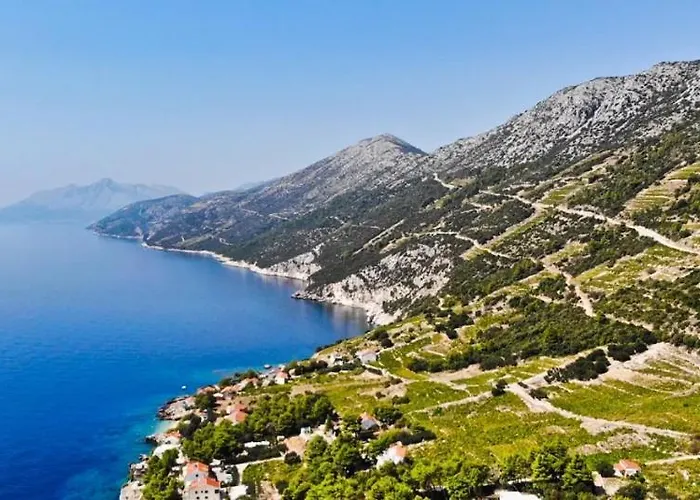 펜션 Domus Nostrae - Peljesac 1 스레세르